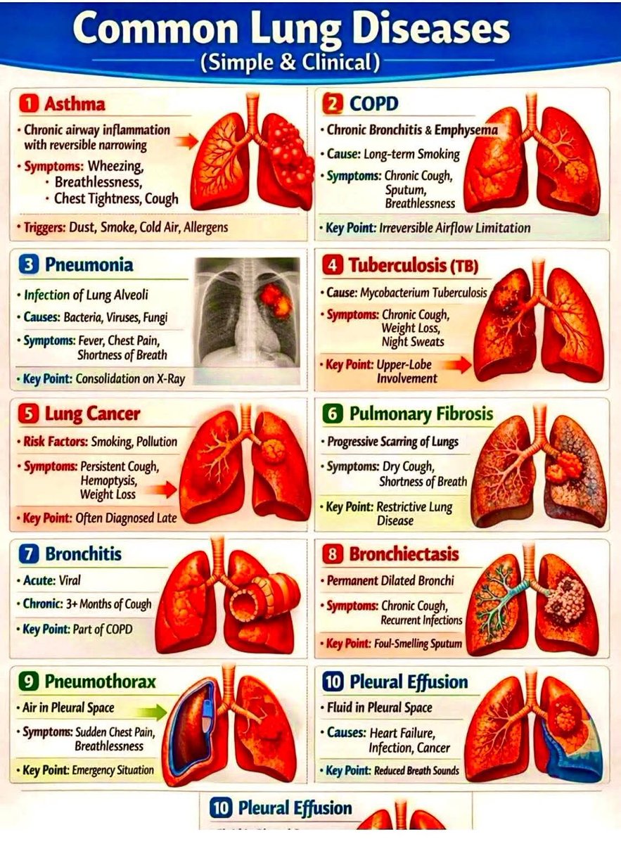 Chaudhary Shafiullah (@chshafiullah15) on Twitter photo 