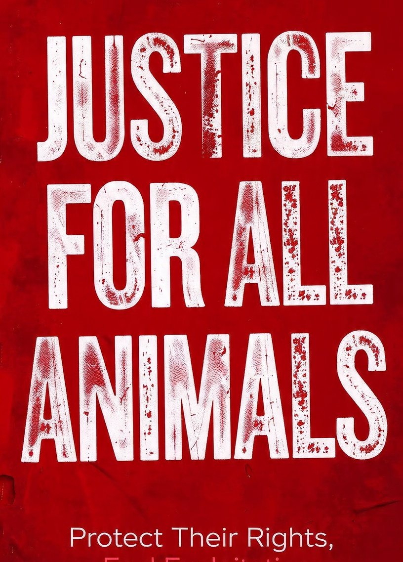 lola19803789's tweet image. #justiceforanimals #justicapororelha #BRAZILFORELHA 

JUSTICE FOR DOG ORELHA NOW 🙌