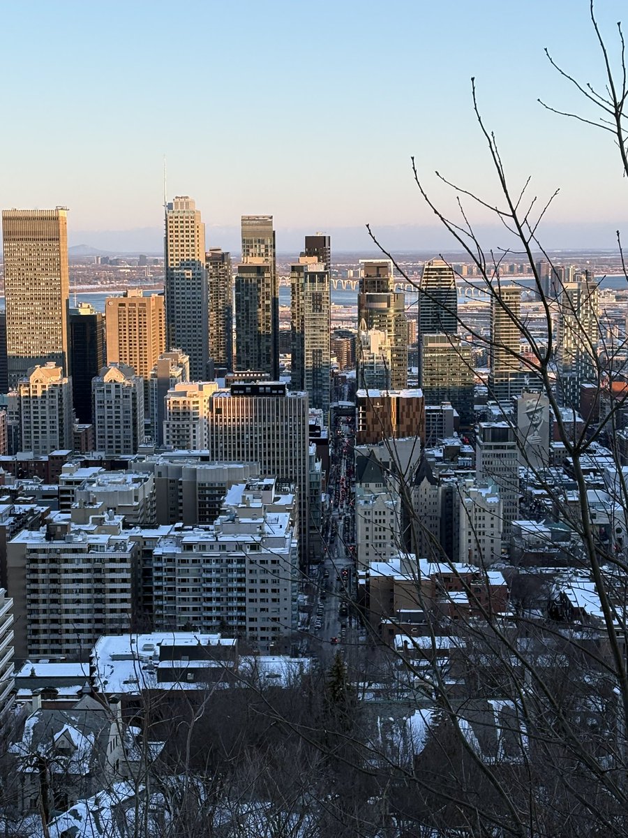 kirstin 🥸 tweet media