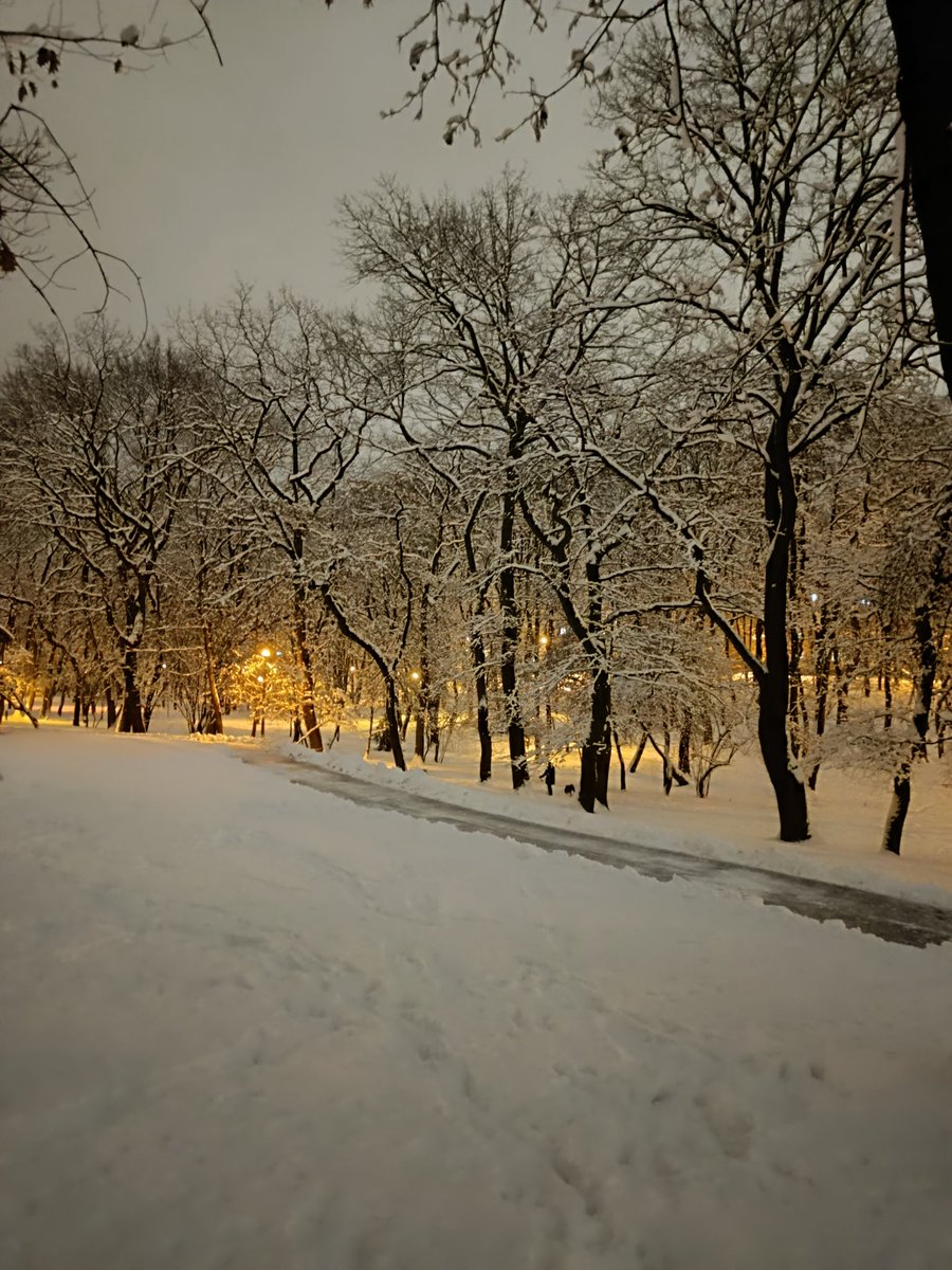 LNH16MP🇵🇱 tweet media