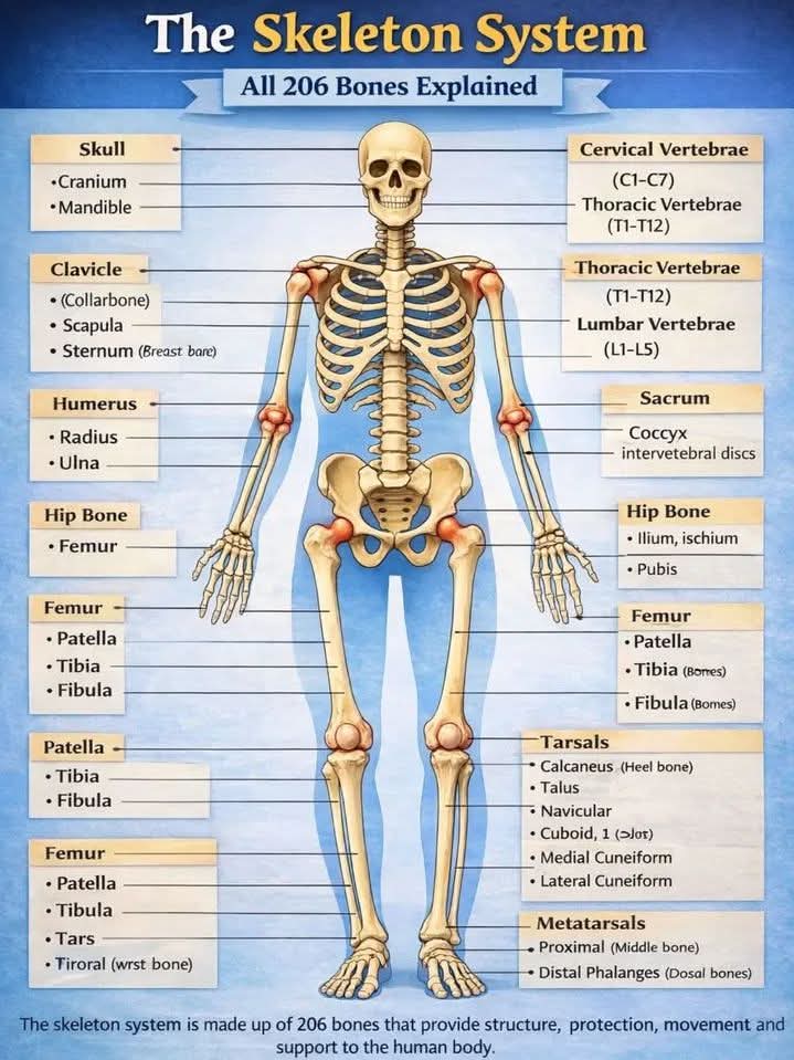 Chaudhary Shafiullah (@chshafiullah15) on Twitter photo 