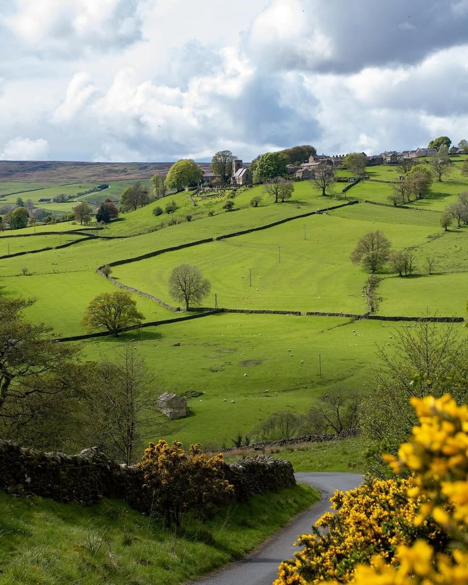 North Yorkshire tweet media