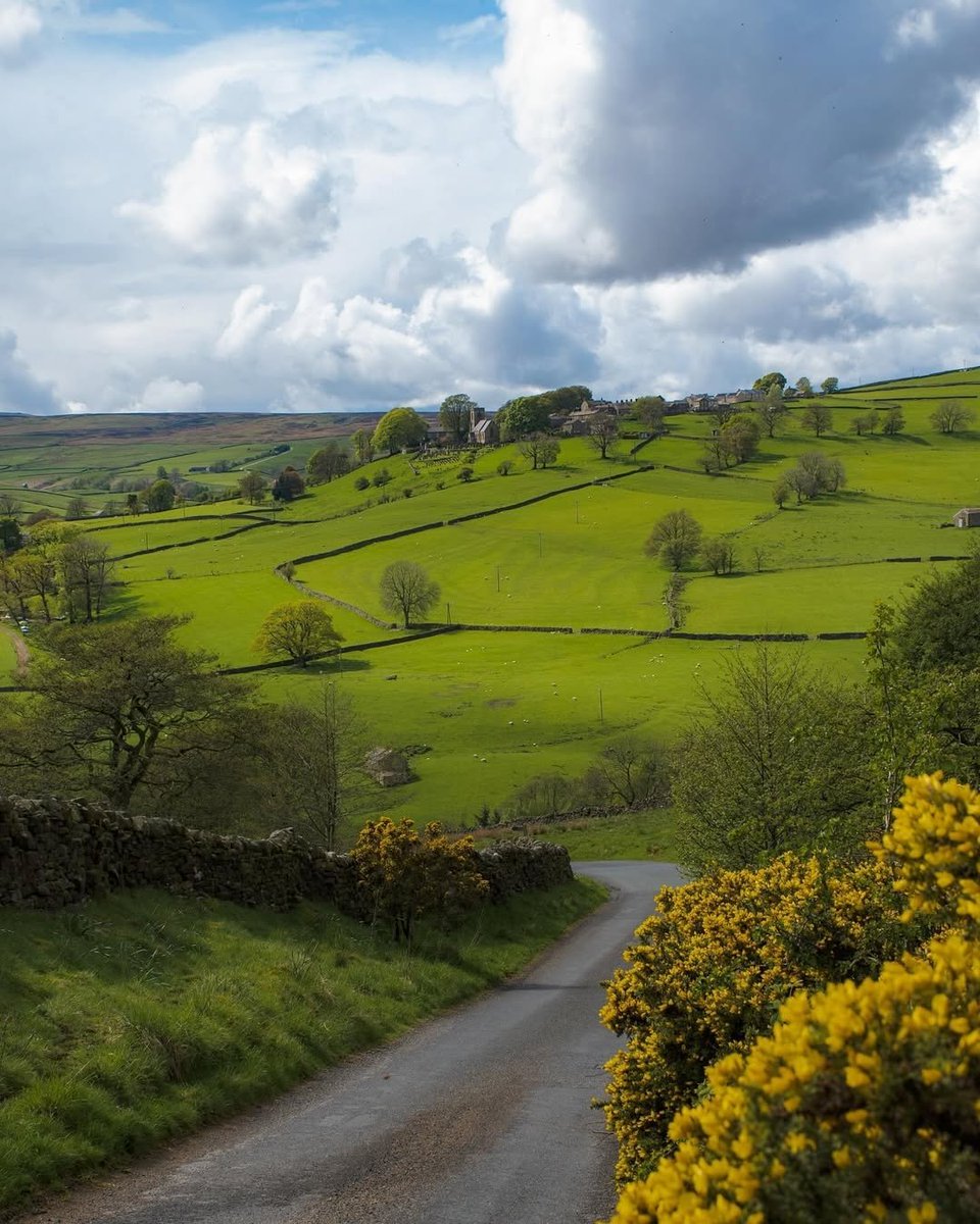 North Yorkshire tweet media