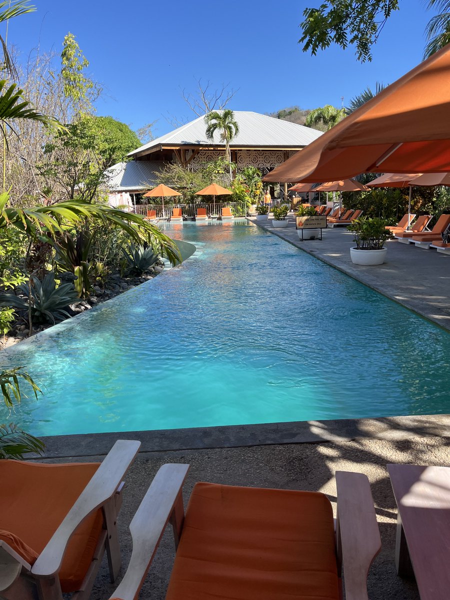 Paul Alofs tweet media