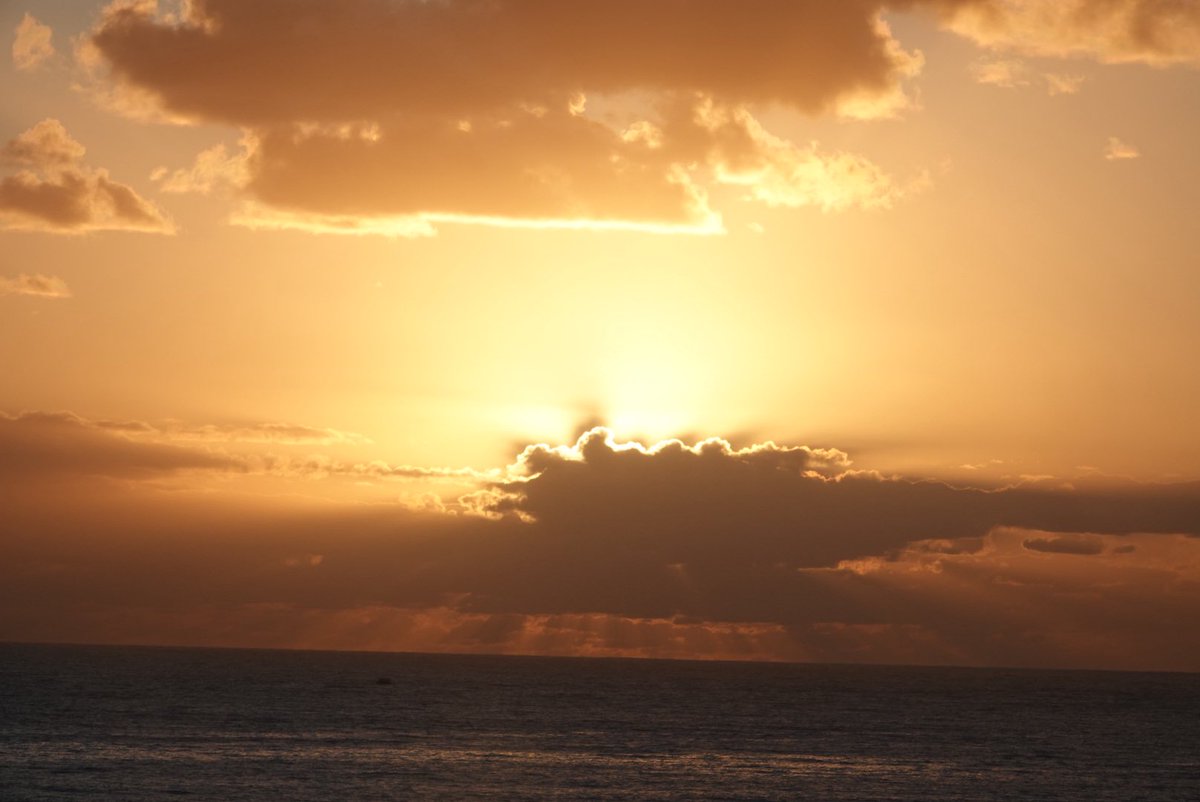 Dev Govindjee tweet media