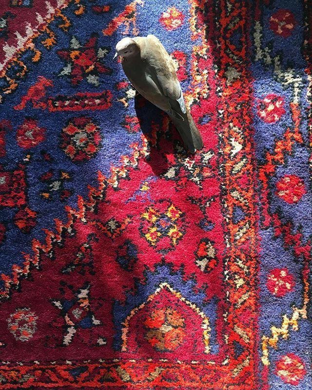 “İnsanın içini dökmekten vazgeçmesi de gurbettir.”