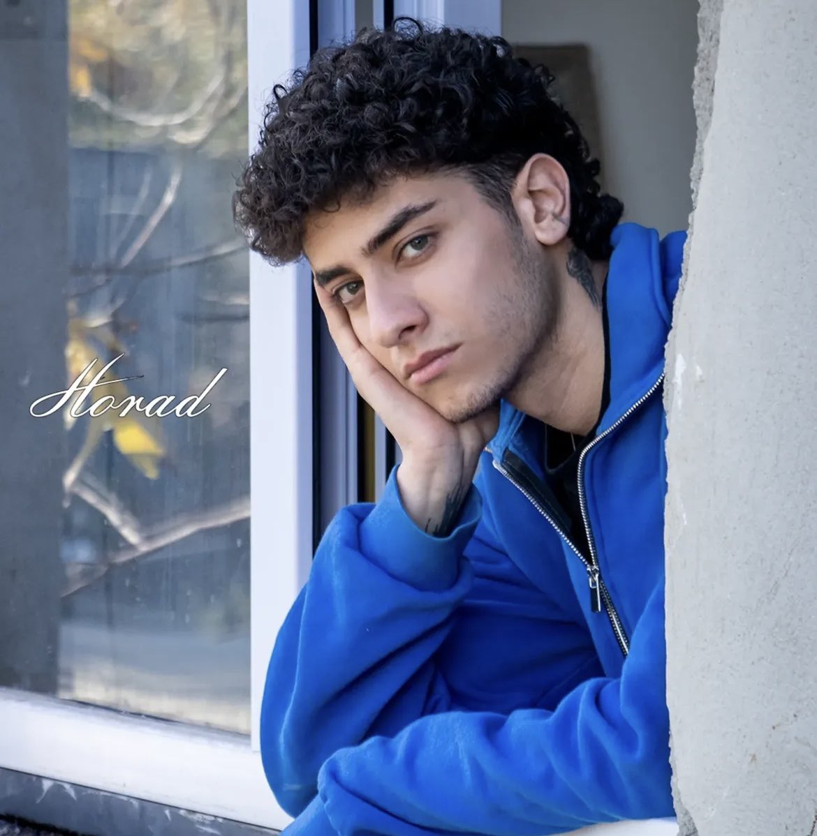 Persian Lioness 👑 tweet media