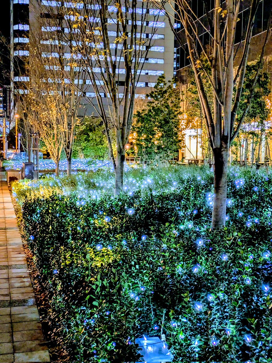 X3vHWKqTlB78648's tweet photo. 東京　豊洲フォレシア https://t.co/JObfqyl91Q