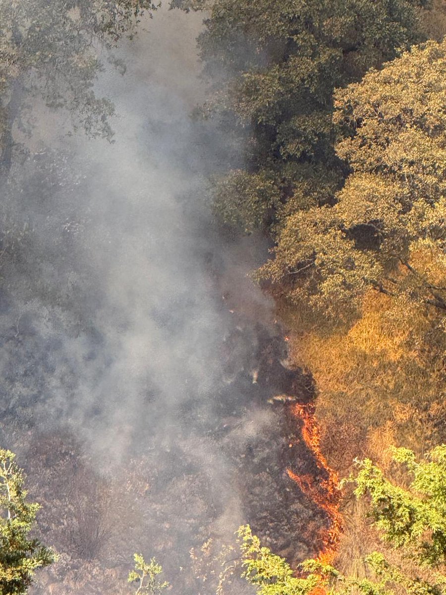 LopezCasarinJ's tweet photo. Personal de Protección Civil de @AlcaldiaAO y @Bomberos_CDMX ya se encuentran atendiendo incendio en Barranca Atzoyapan, atrás del Panteón Jardín. 

Sigo informando. https://t.co/po3TGvRDFx