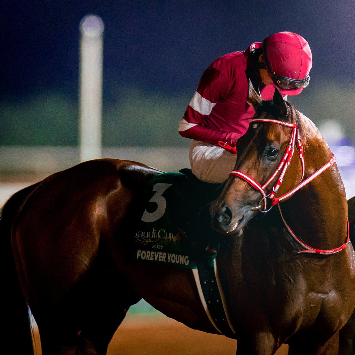 سلمان المغيّري | 🇸🇦 Abu Noura tweet media