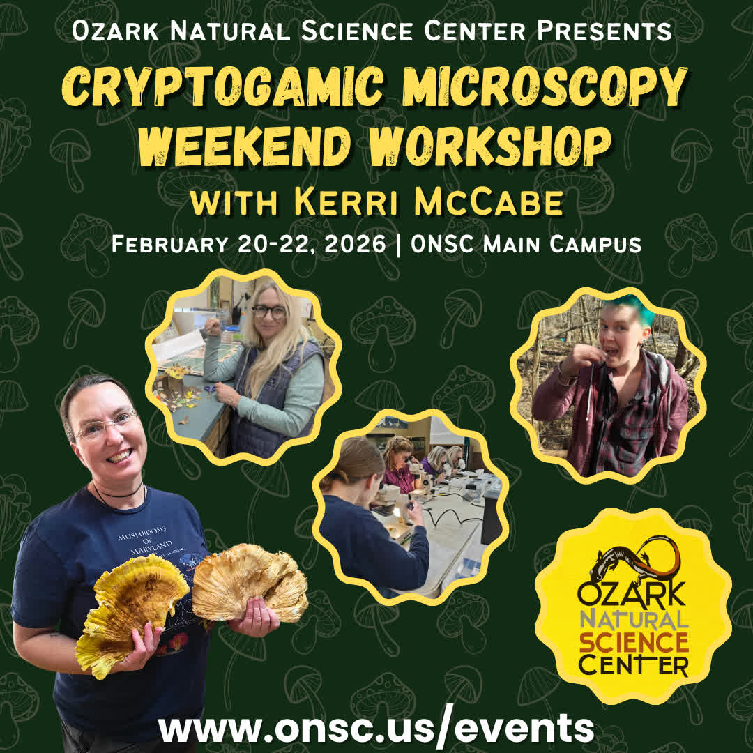 ozarknatsci's tweet photo. ⏰🍄 Last Chance to Register: Cryptogamic Microscopy Weekend 🍄⏰

Join us for a weekend of discovery, science, and curiosity as we explore cryptogams from forest flo... https://t.co/GBqCI4hrkH

#ONSC #Microscopy #FungiWeekend #ScienceInNature #WorkshopsAtONSC https://t.co/epwxjqlIMf