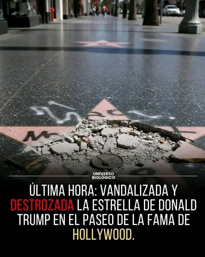La estrella de Donald Trump en el Paseo de la Fama de Hollywood ha sido vandalizada y destrozada.  
El símbolo de su “glamour” se derrumba entre escombros, reflejando el rechazo que genera su figura.