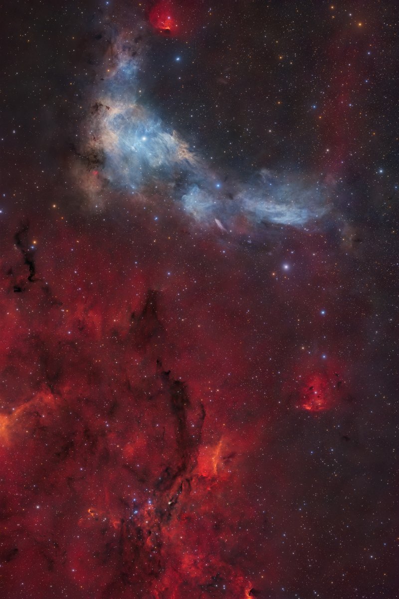 KriekCherry's tweet photo. VdB 14 &amp; VdB 15, le feu et la glace qui s'affrontent dans la constellation de la Girafe...
Crédit : team F.A.C.T https://t.co/n6vV3ujaMy
