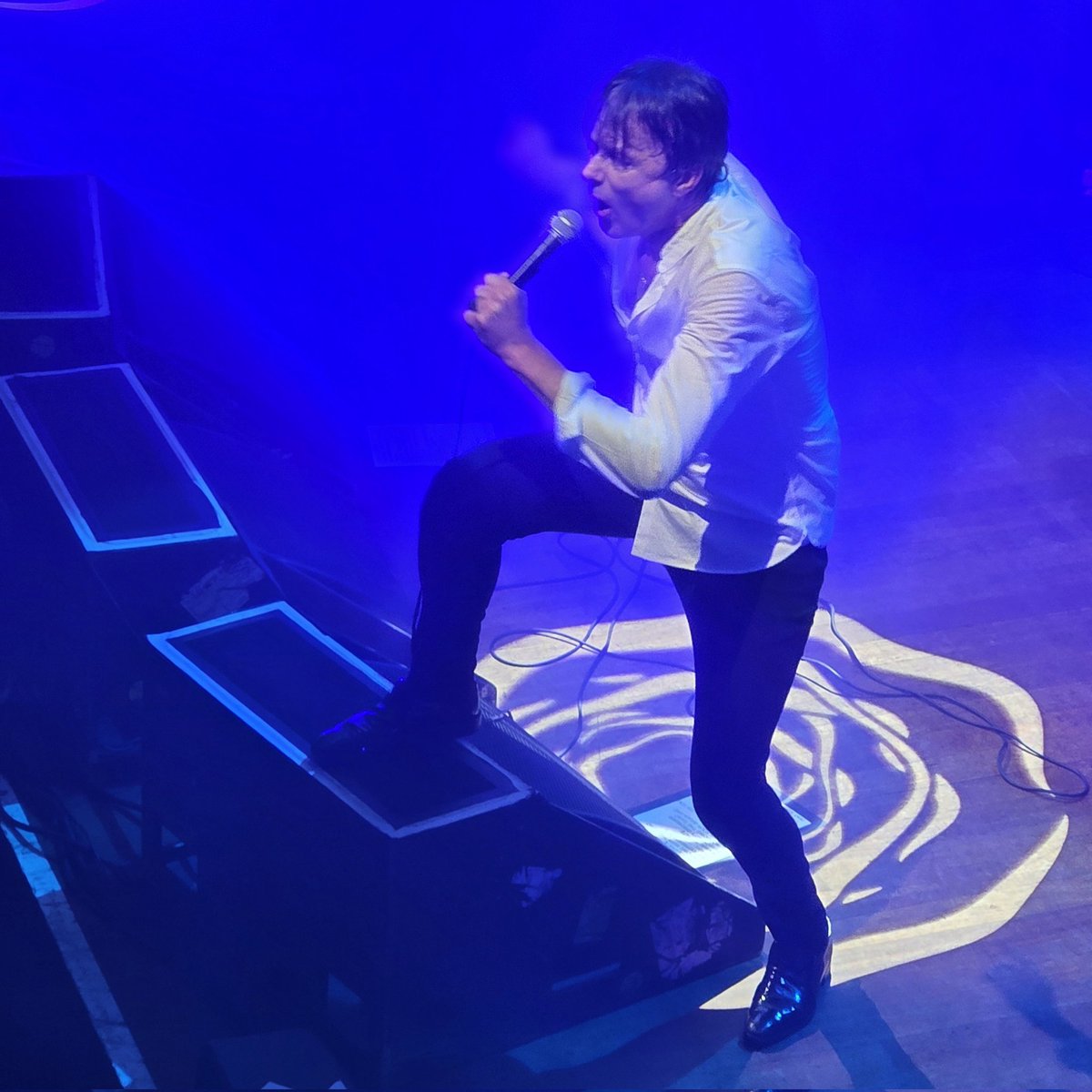 suejaynewingate's tweet photo. @suedeHQ https://t.co/nCPg3nhdx3