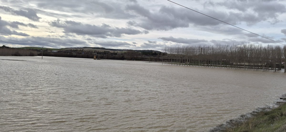 javi7482's tweet photo. El Pisuerga iba a tope esta tarde, aguas abajo de la desembocadura del Carrión, en Dueñas (P) https://t.co/Kvyr2Y8x8D