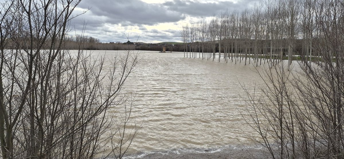 javi7482's tweet photo. El Pisuerga iba a tope esta tarde, aguas abajo de la desembocadura del Carrión, en Dueñas (P) https://t.co/Kvyr2Y8x8D