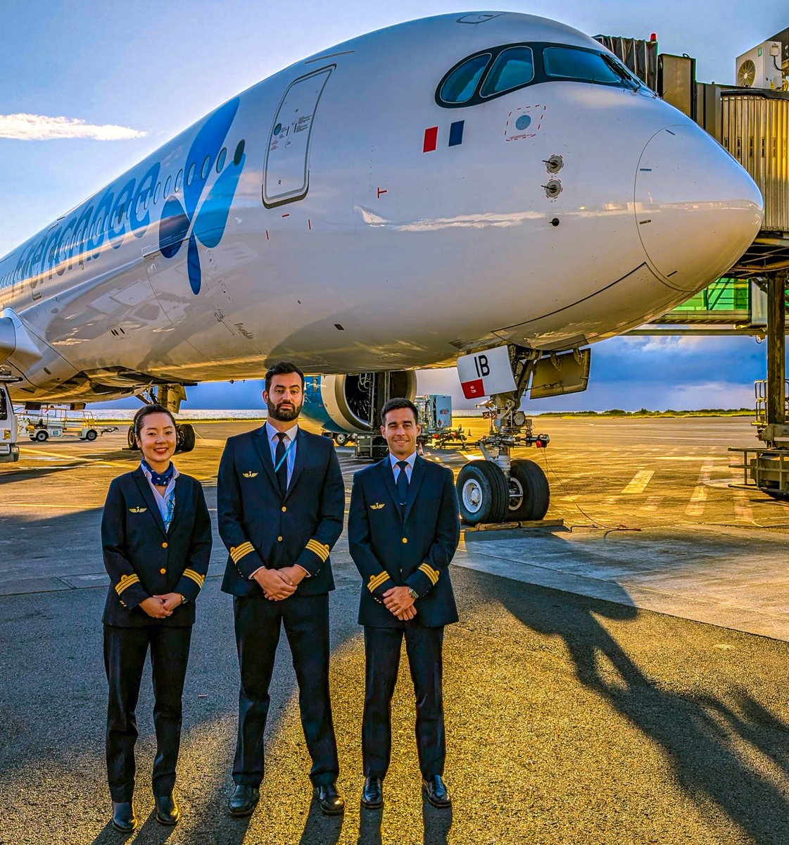 Just Planes tweet media