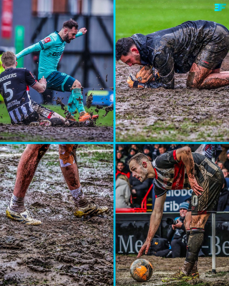 Jamie Marler tweet media