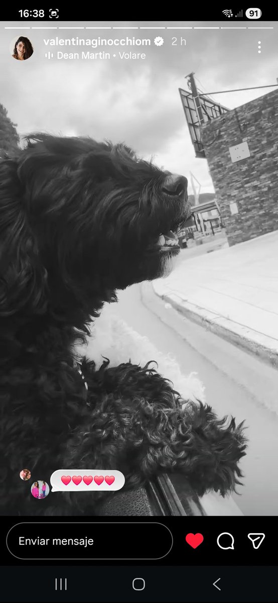 Morita con el loco Tom paseando vía stories de Valentina