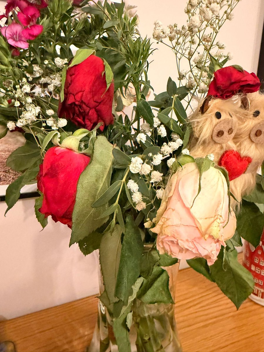 AdamDUBDay's tweet photo. @nextofficial not at all impressed with the flowers I purchased for my wife for Valentine’s Day literally after 24hrs and they look like this https://t.co/6WY4b9PJRH