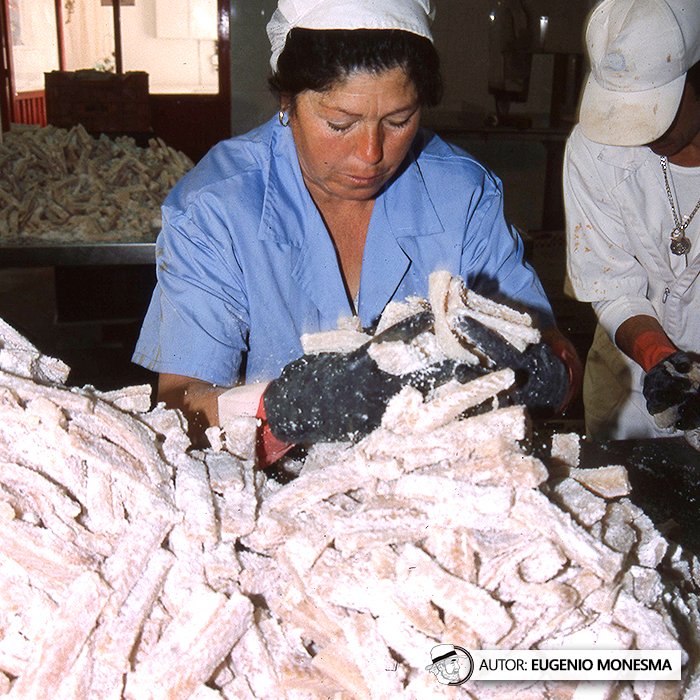 EugenioMonesma's tweet image. 🐟 El arte del #BACALAO está en su proceso: salazón, secado natural y respeto por el producto en cada pieza.

En el año 2000 pude conocer el procesado de este #pescado que está presente en la #gastronomía popular española.  

📽️ Documental COMPLETO (11'): youtu.be/25ZYt0CsUbE