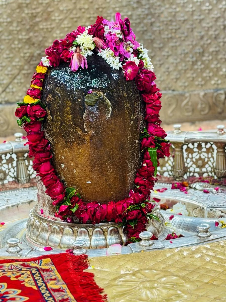 One darshan countless blessings 🙌