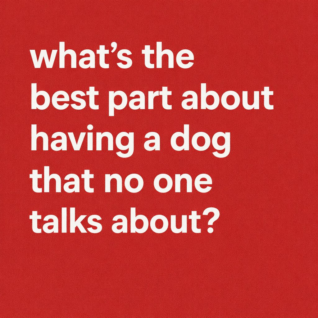 Phil Sledge tweet media