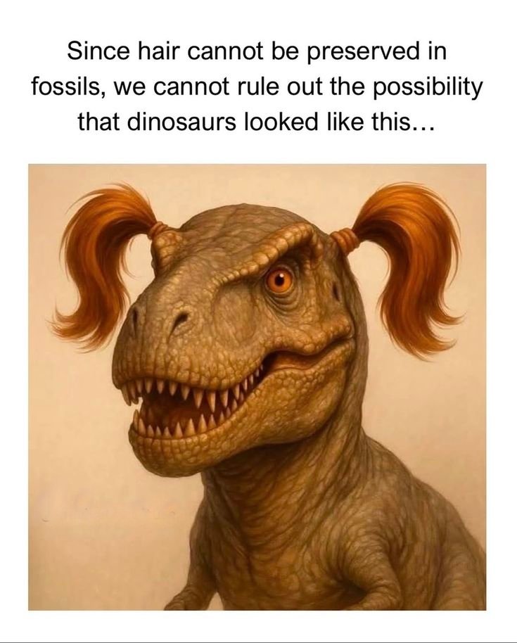 Kristasunshine1's tweet image. 🤣🤣🤣🤣