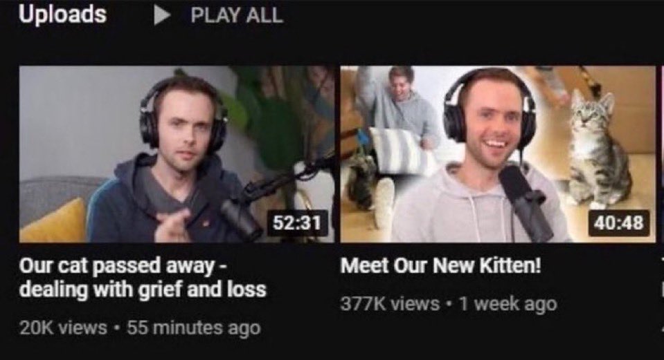 having a jetpack cat as a teammate but all they do is flank and die