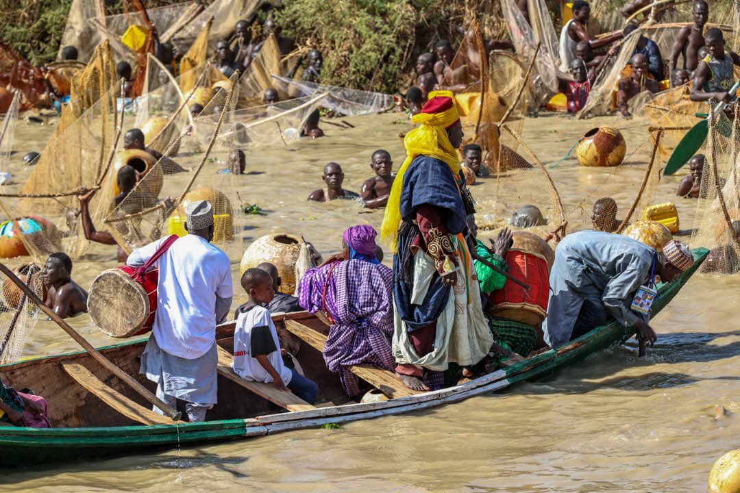 daudalawal_'s tweet photo. Yesterday, I witnessed the 61st Argungu International Fishing Festival at Matan Fada in Argungu town, Kebbi State. 

The colourful event was attended by His Excellency President Bola Ahmed Tinubu, along with other governors and dignitaries. 

The Argungu festival attracts thousands of fishermen and tourists from Nigeria and abroad. 

Events like these highlight the beauty of our cultures and the peaceful coexistence our region is known for.