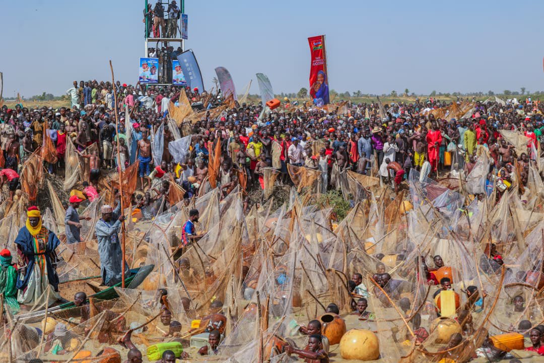 daudalawal_'s tweet photo. Yesterday, I witnessed the 61st Argungu International Fishing Festival at Matan Fada in Argungu town, Kebbi State. 

The colourful event was attended by His Excellency President Bola Ahmed Tinubu, along with other governors and dignitaries. 

The Argungu festival attracts thousands of fishermen and tourists from Nigeria and abroad. 

Events like these highlight the beauty of our cultures and the peaceful coexistence our region is known for.