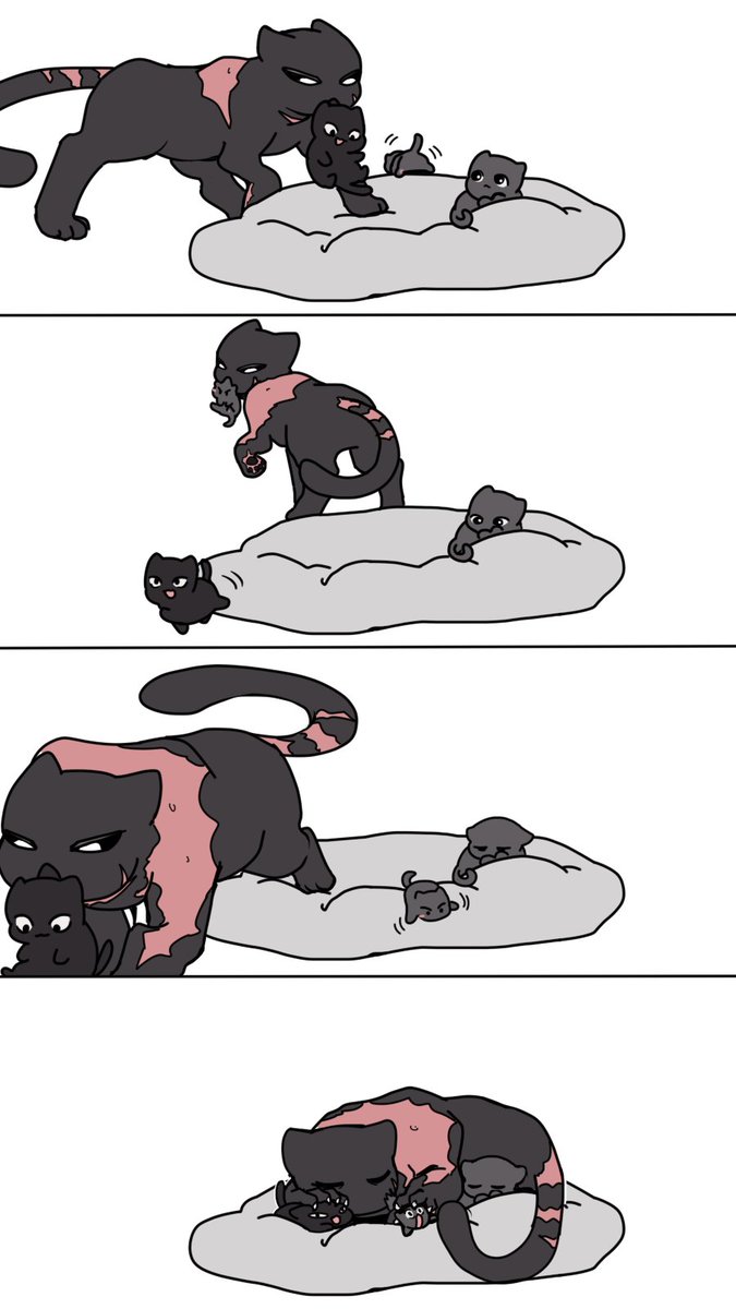 AniMaoo_2's tweet photo. It's time to sleep (Seoul Kitties AU) https://t.co/ITttyKqAqZ