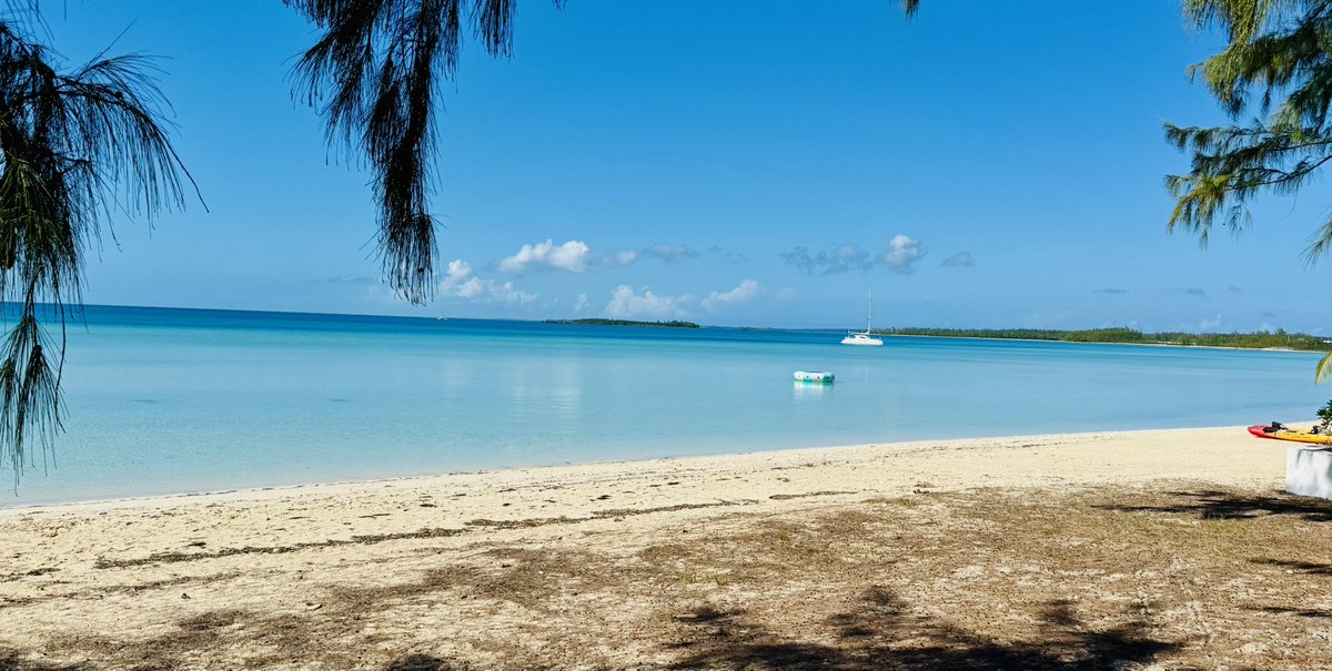 Dukeness tweet media