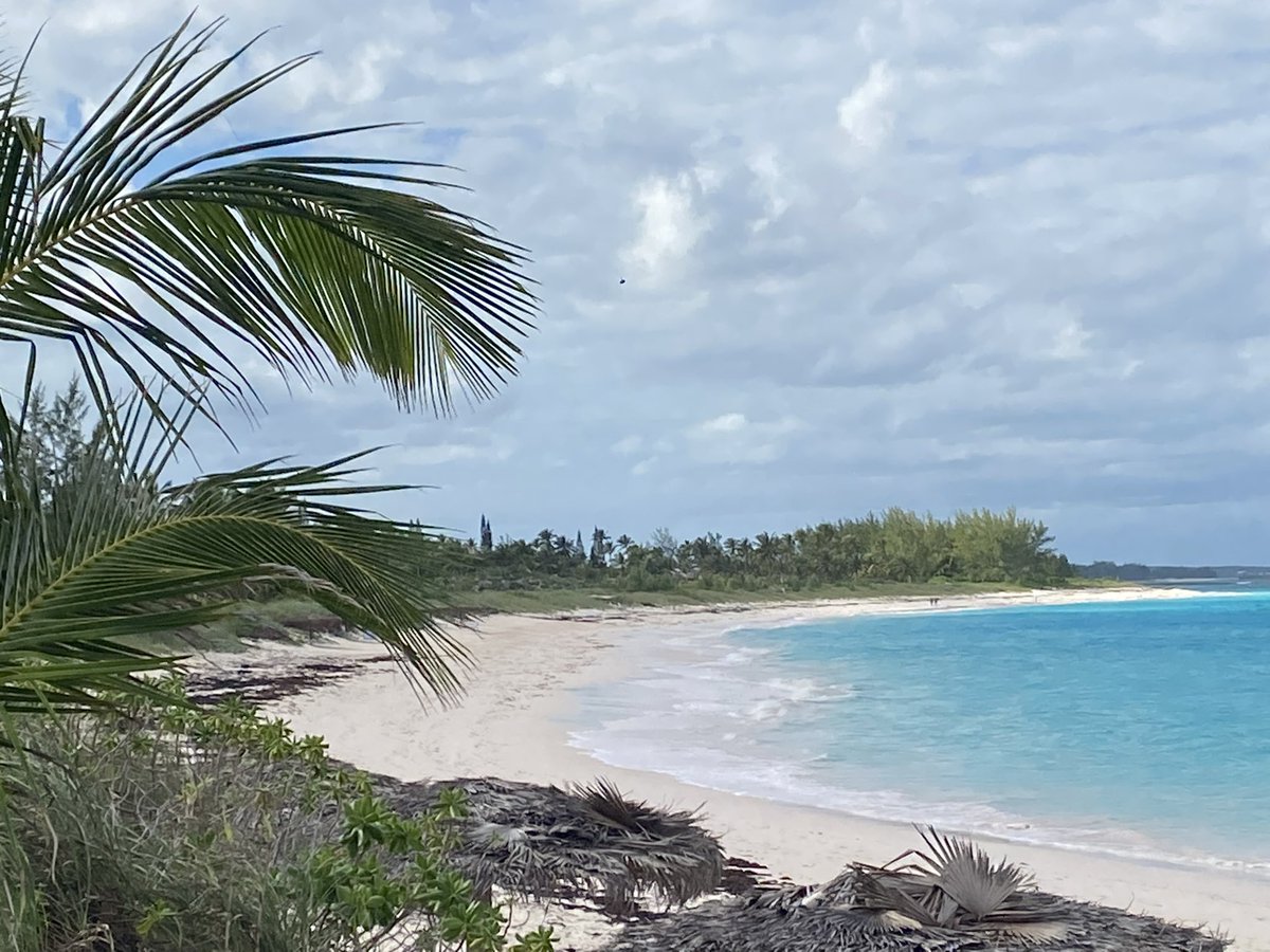 Dukeness tweet media