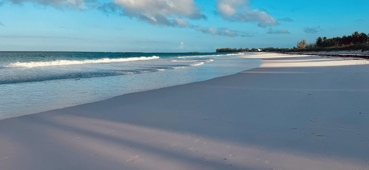 Dukeness tweet media