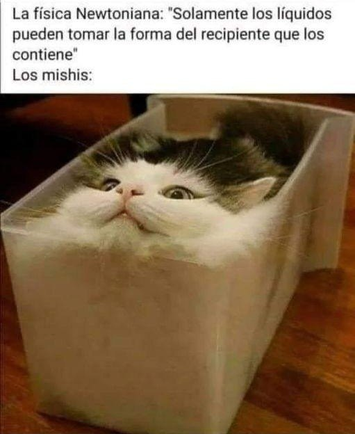 JotaEme (@jotaemeolea) on Twitter photo 