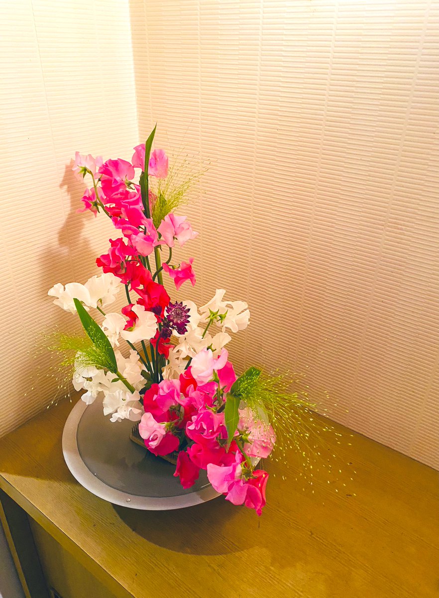 おはようございます
よく休みましたので、早くの起床
退院以来の、実家への予定
いつものカフェにしましょうか
昨日のシャーシャーからの体調次第ね