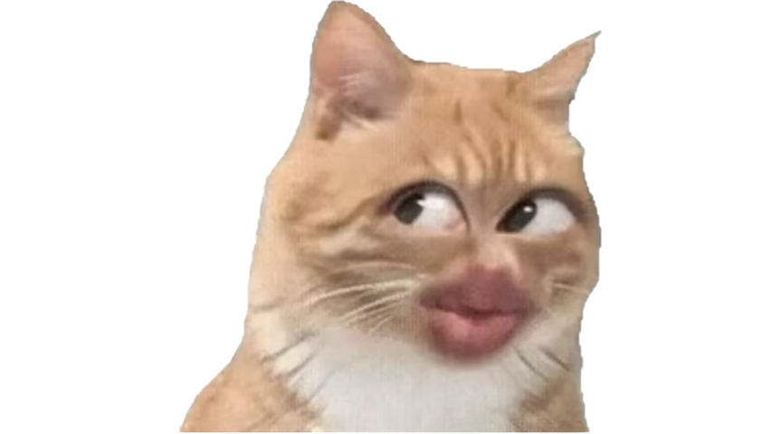 𝑌𝑖𝑥. tweet media