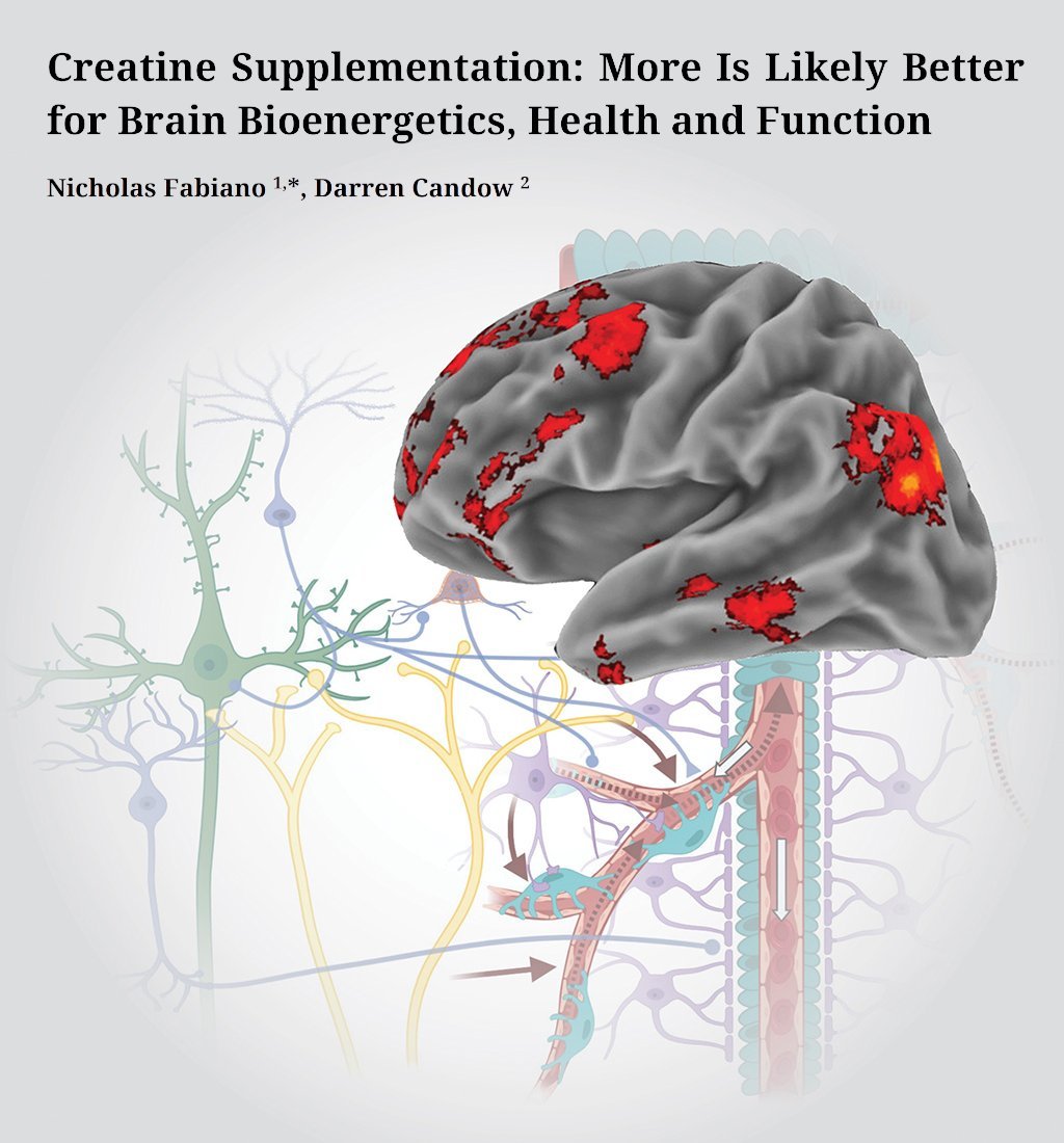 NTFabiano's tweet photo. 5 grams of creatine saturates your muscles, but is likely too low for the brain.

We published a paper on the topic. https://t.co/ajTAvNY41H