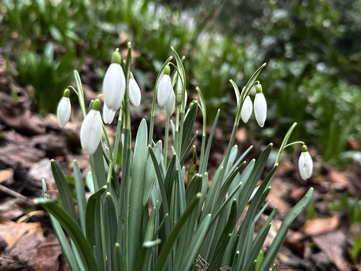 Jay Up North tweet media