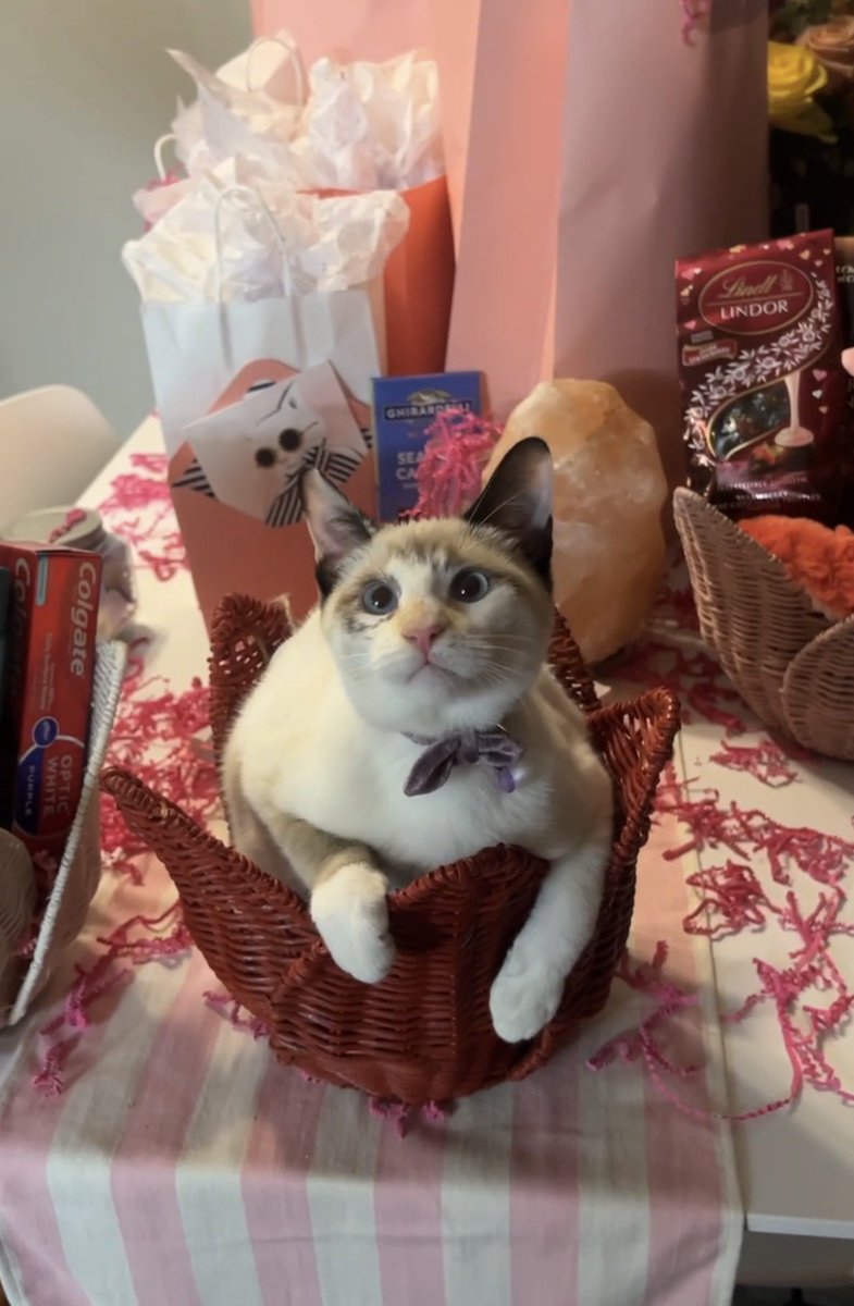luvr4ven's tweet photo. Madeleine, my little valentine 🥲♥️ https://t.co/RxwjoTPeHy