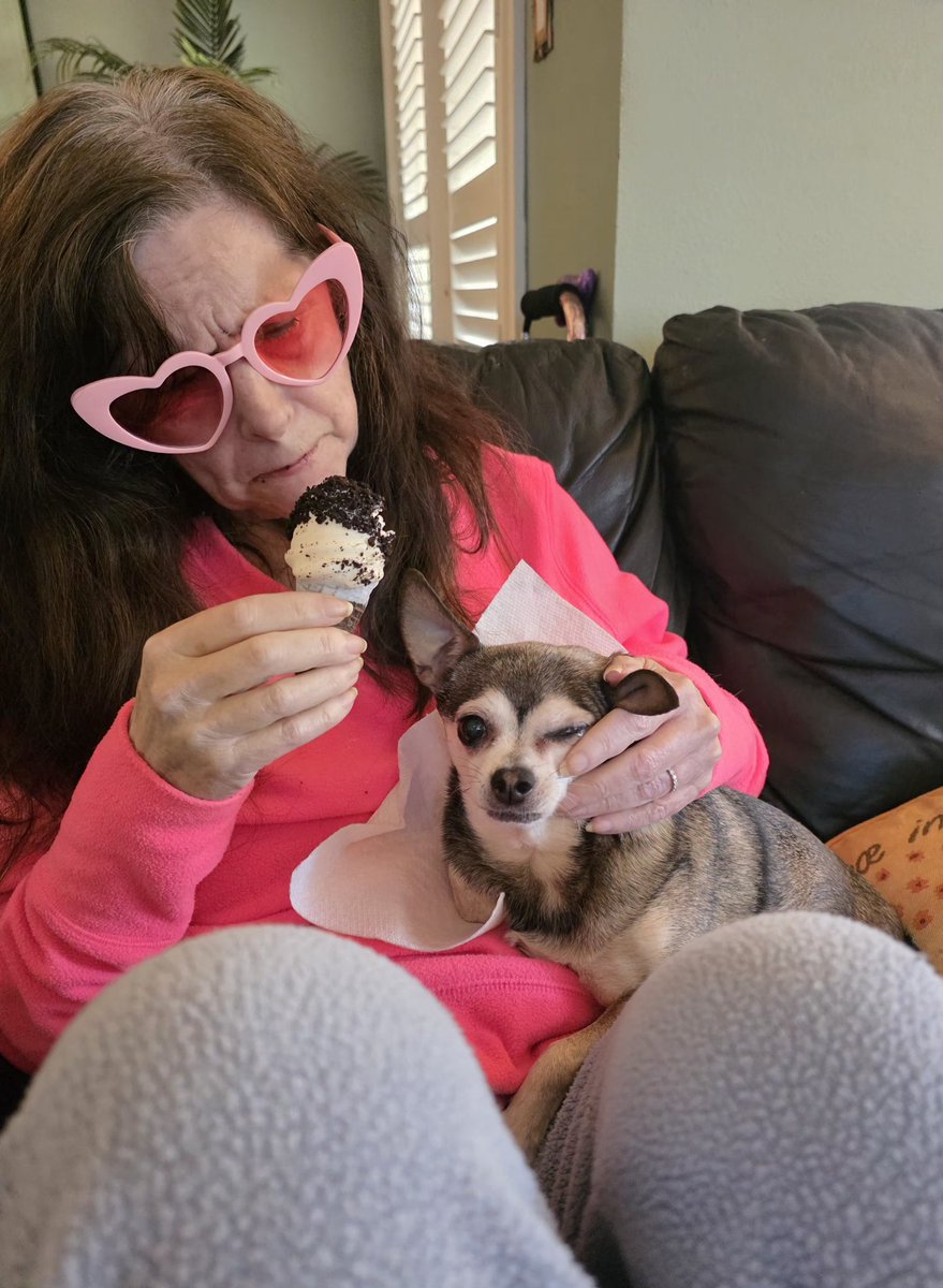 michaeljwhelan tweet media