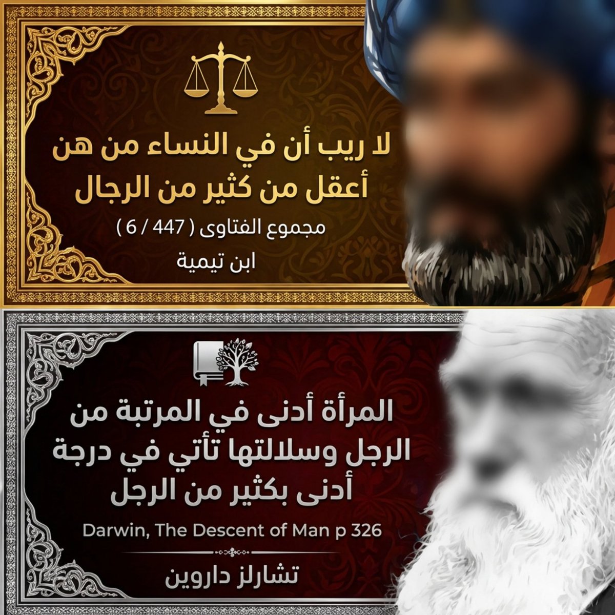 Alexander tweet media