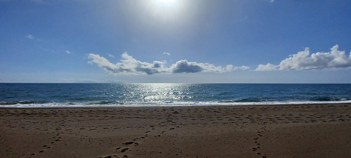 Panayiotis G Dimitrakopoulos tweet media