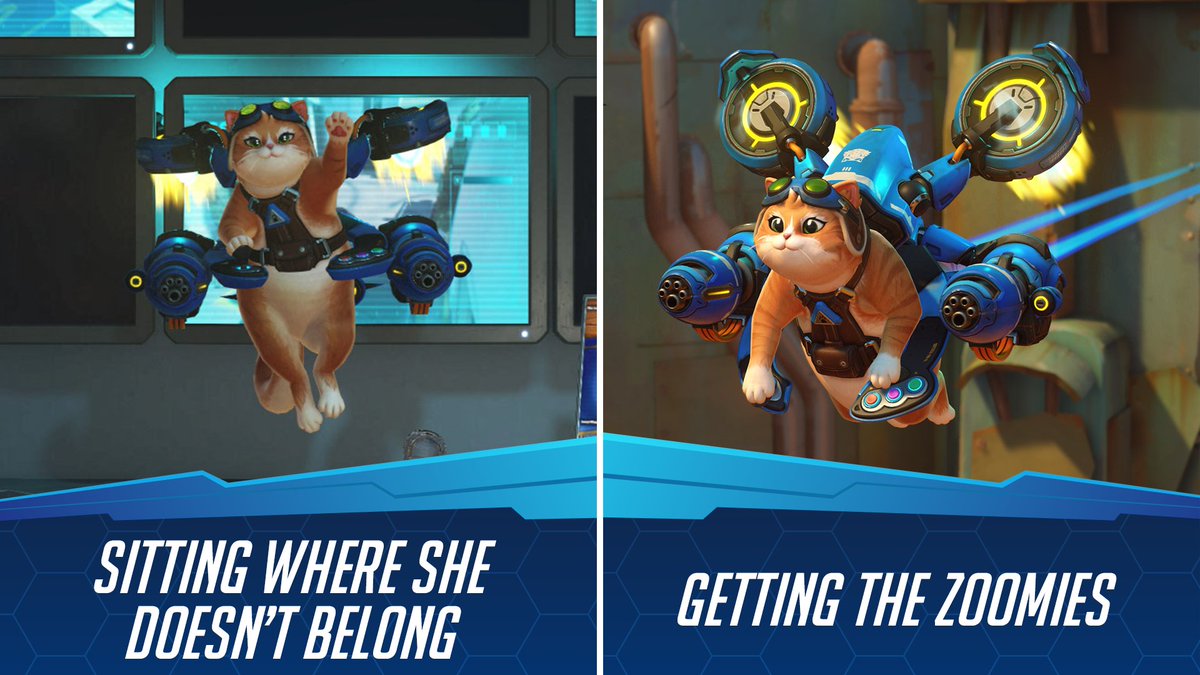 One minute she’s committing war crimes, the next she’s begging for treats 🫠