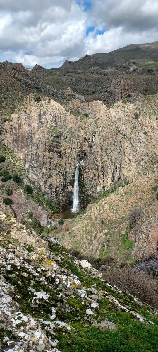 Panayiotis G Dimitrakopoulos tweet media