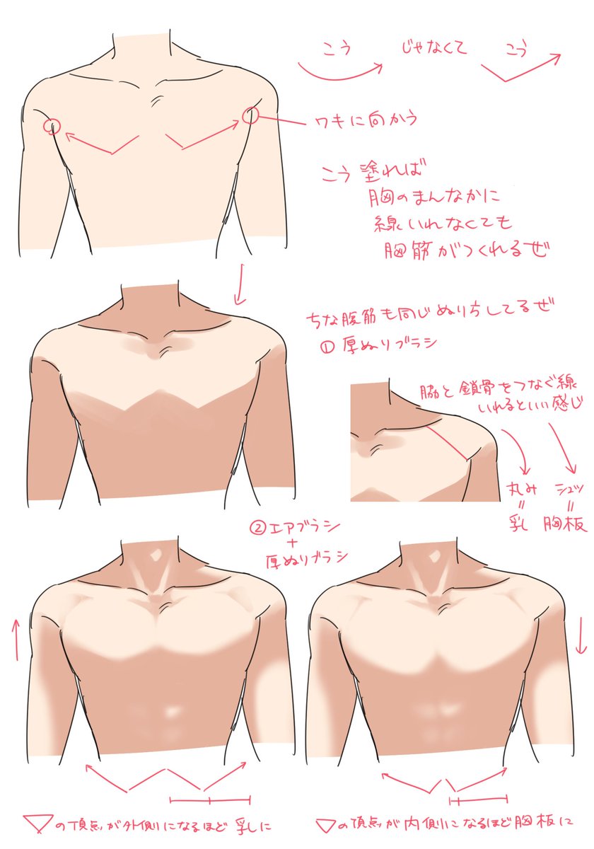 自由研究・筋肉編
フォロワーにいろいろ説明するために描いたもの
線(シルエット)、塗り、ケツの描き方です 