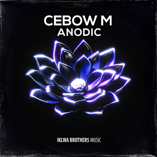 #𝗥𝗞𝗖 tweet media