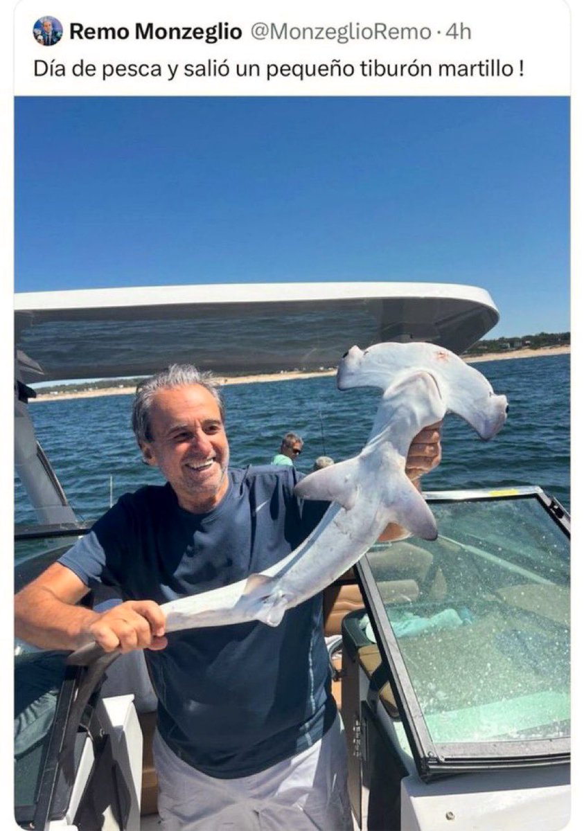 diegodelacurva's tweet photo. Los que no van a venir más a hacer turismo son los Tiburones Martillo. https://t.co/N0V4PcSkte