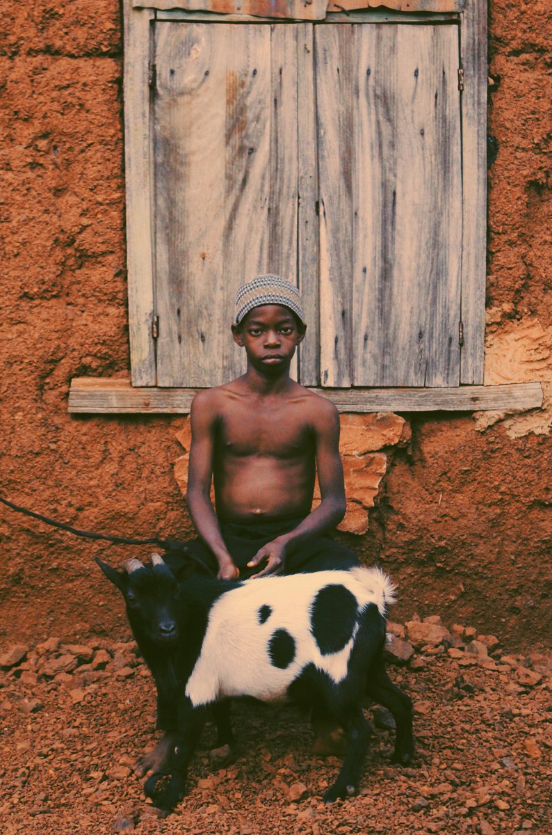 KeneGraphy🦍📸🖤 tweet media